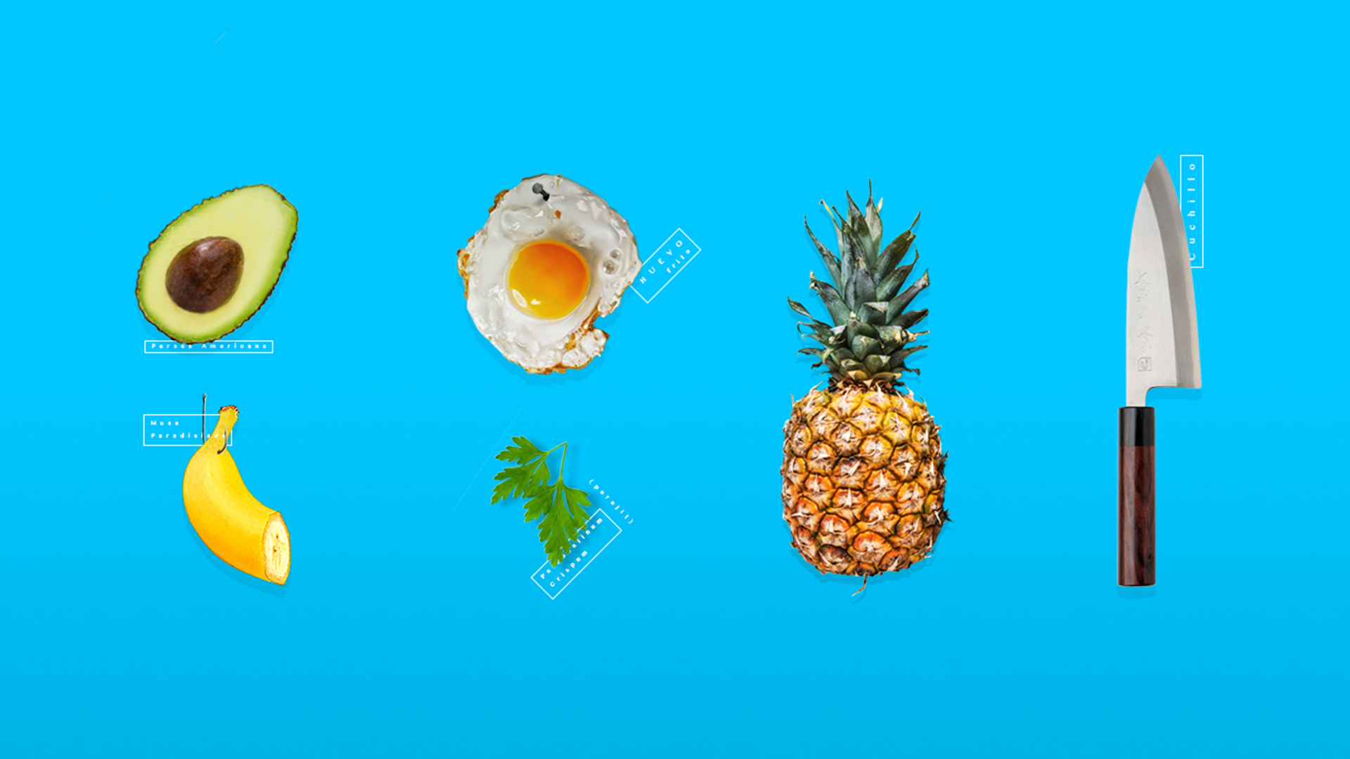 Teresita, Tradicion, familia y propiedad Online