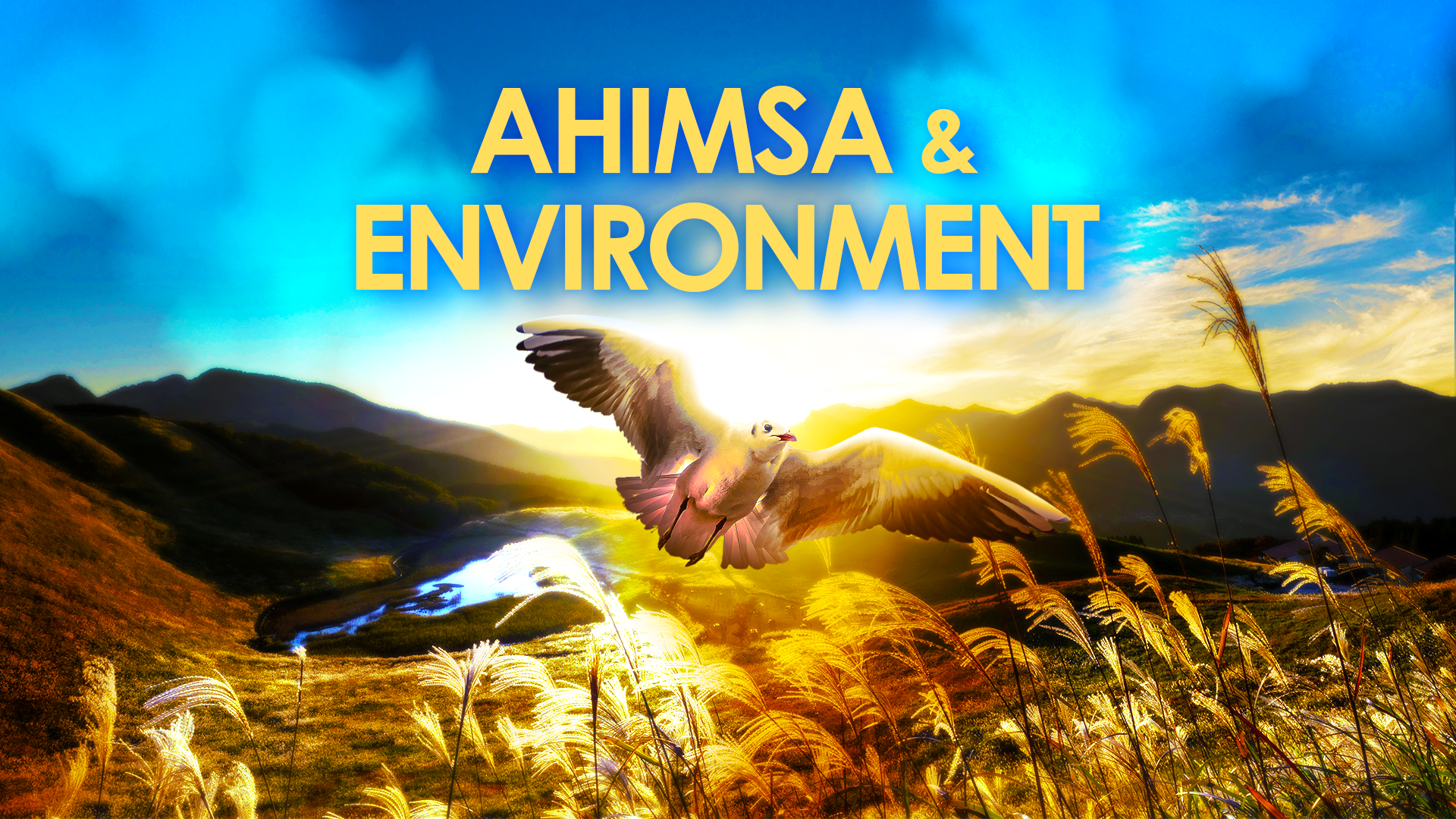 Ahimsa & Environment:  Making Peace with Nature Online