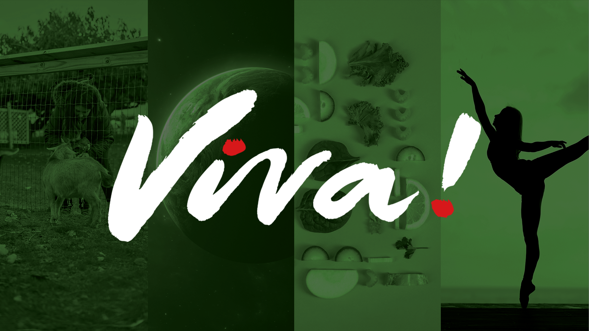 Fascinating Fashionista! Online