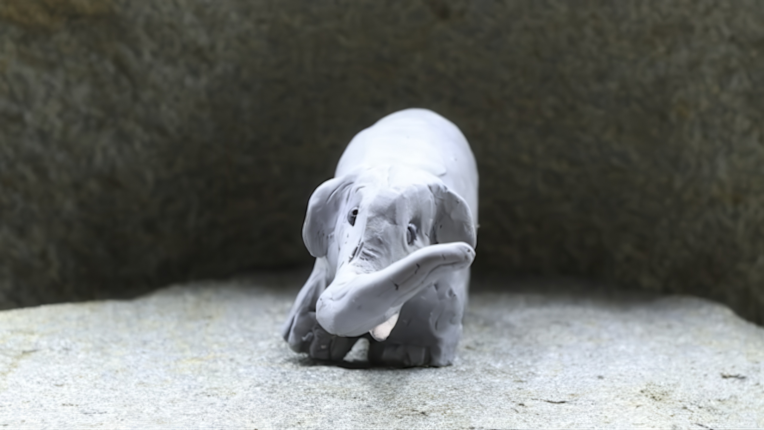 Billy the Elephant: A Short Film Online