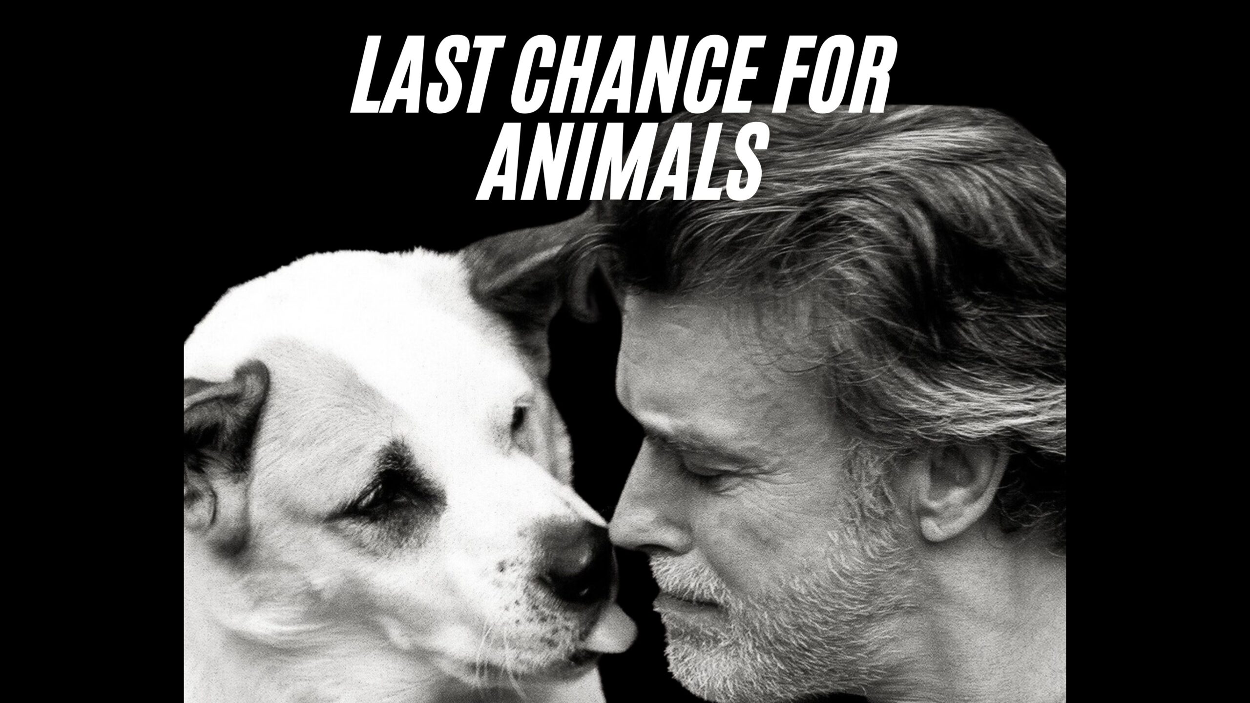 Chris DeRose: Hero for the Animals Online