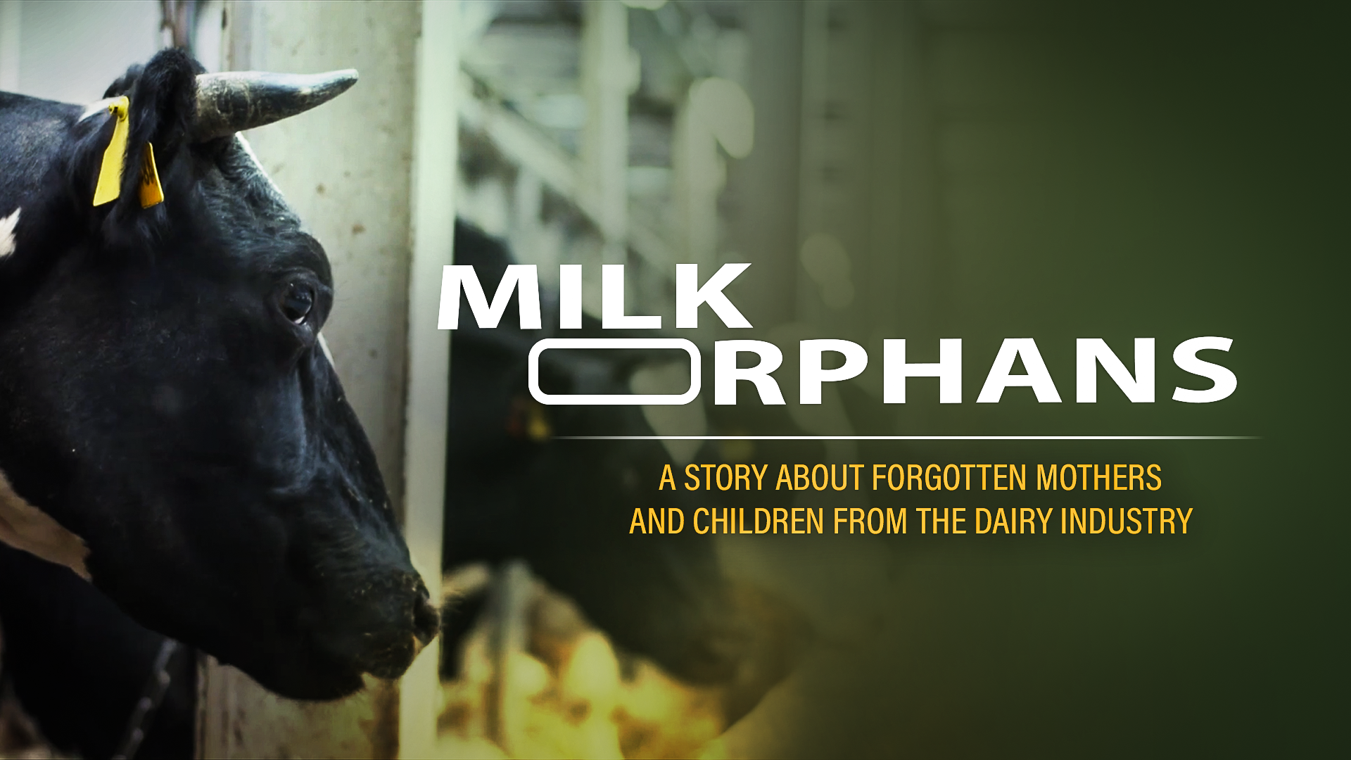 Milk Orphans Online