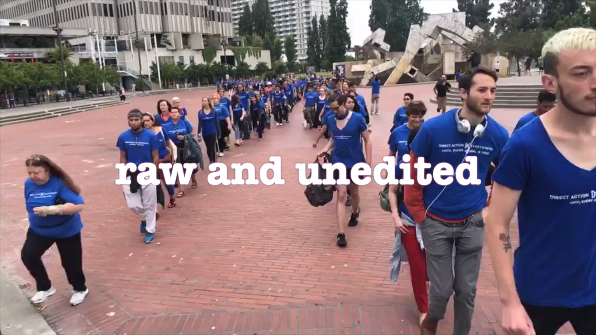 The Most Intense Demonstration Ever Online