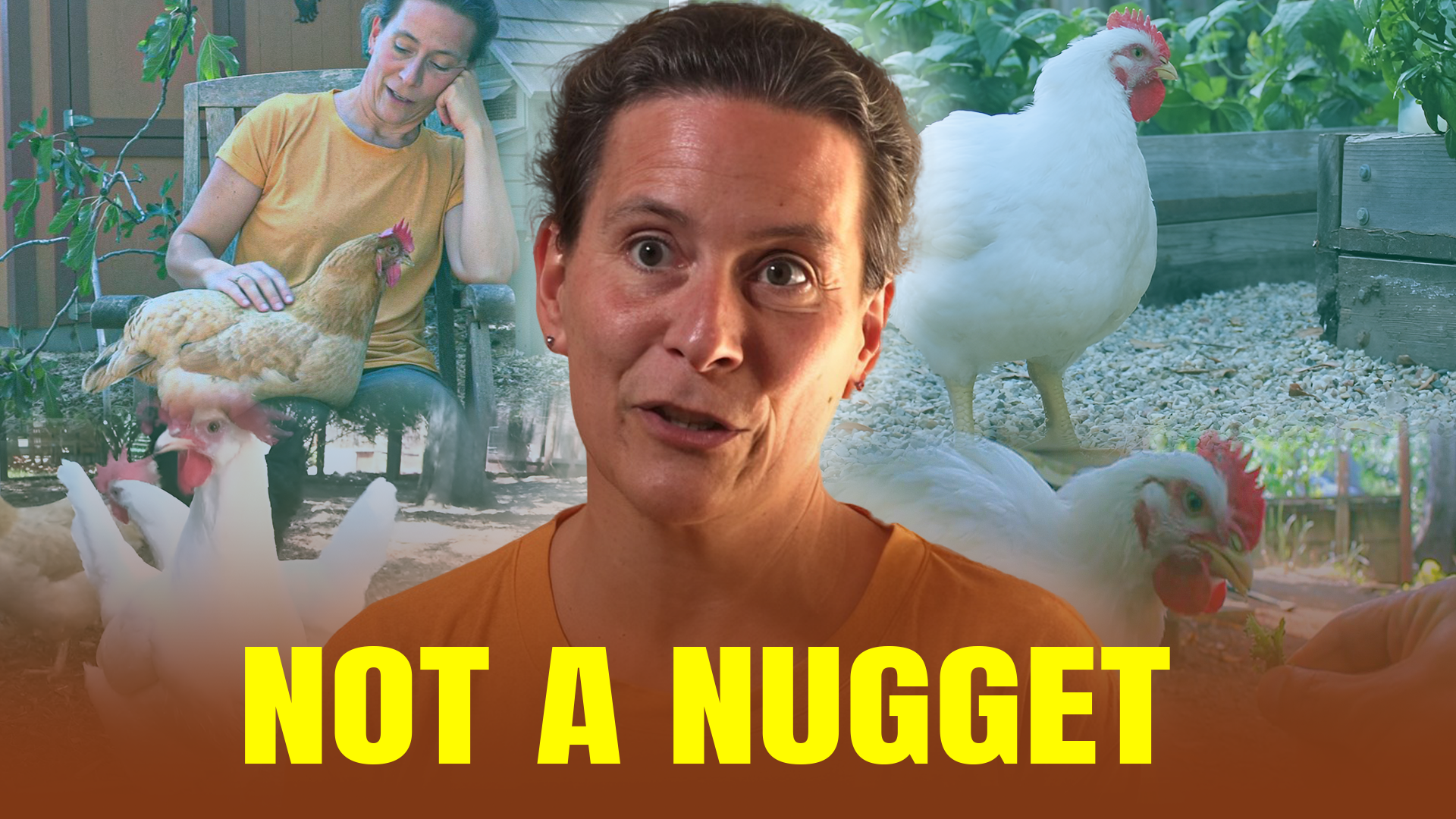 Not a Nugget Online