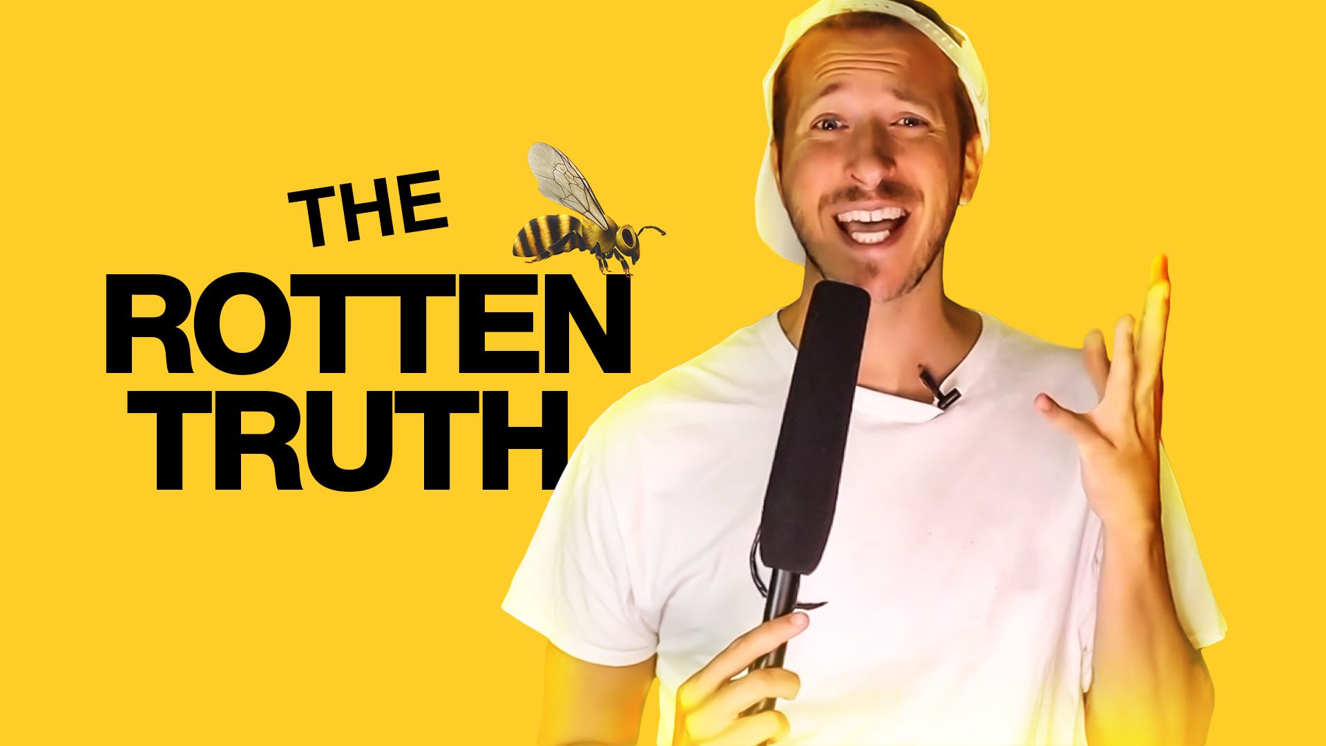 The Rotten Truth - Standard Practices Online