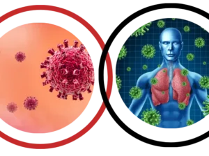 Bloodborne Pathogens Online Certification