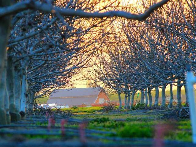 lameras_ananias_DTP8