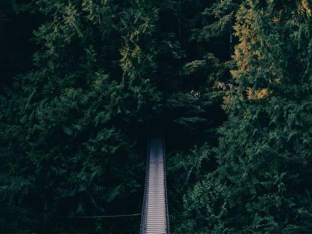 samojlova_valerij_9qaK