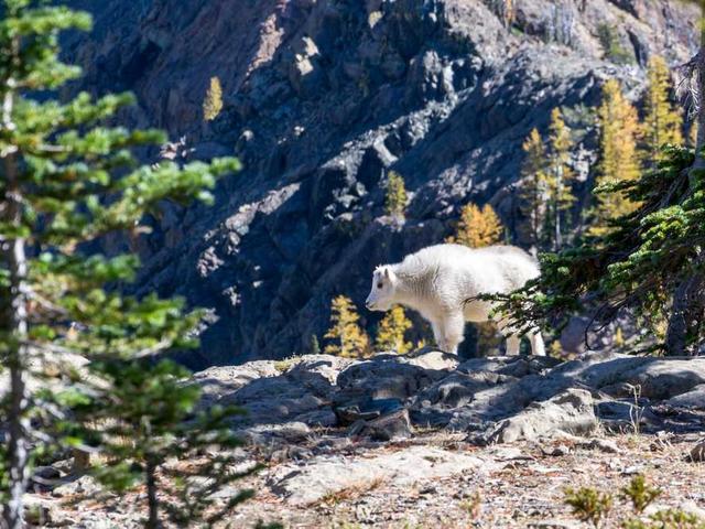 nesterova_antonina_EE1r