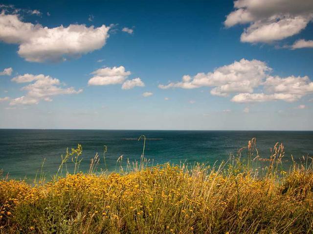 nazar_ponomarenko_S6pH