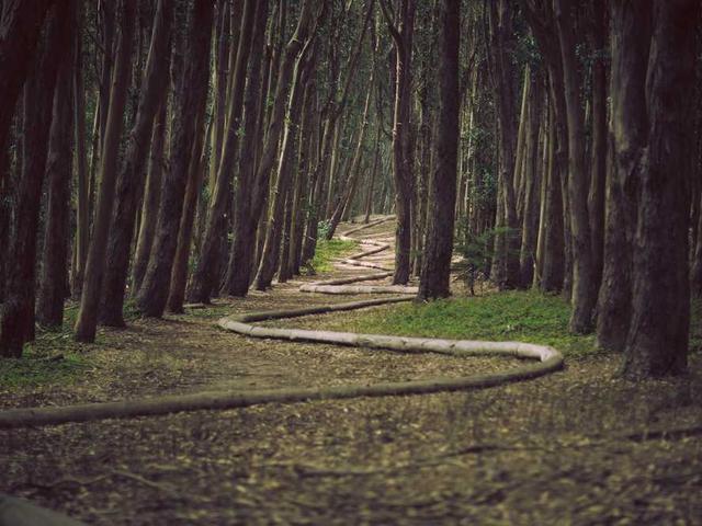 irem_limoncuoglu_YyPN