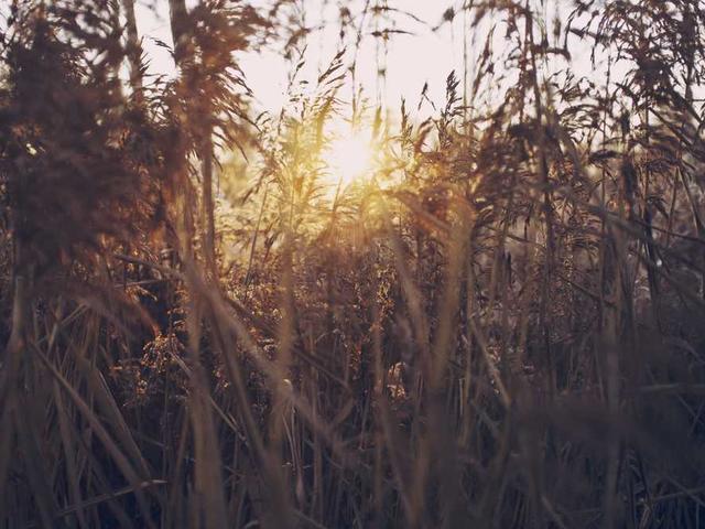 anastasiou_gerasimos_n6SV