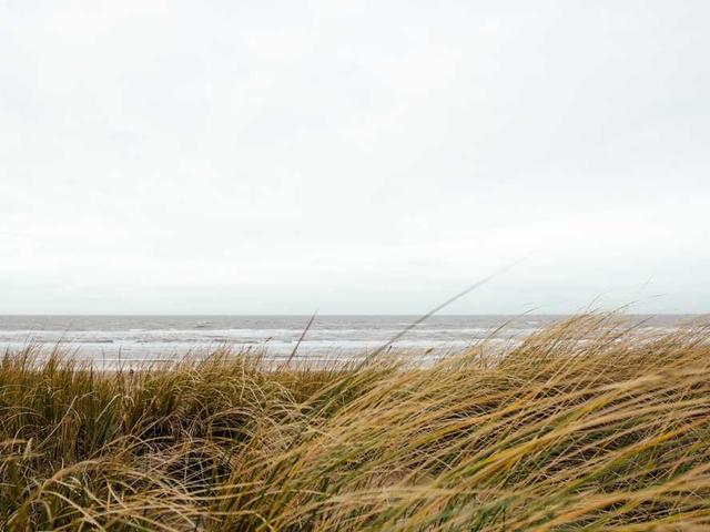 anton_brovarcuk_OE4T