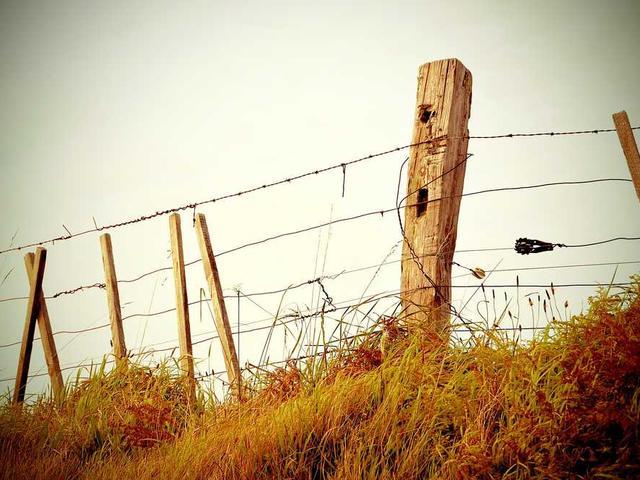 cristian_roybal_pt8L