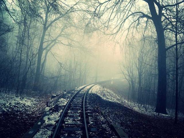 inna_bodnarenko_BIRJ