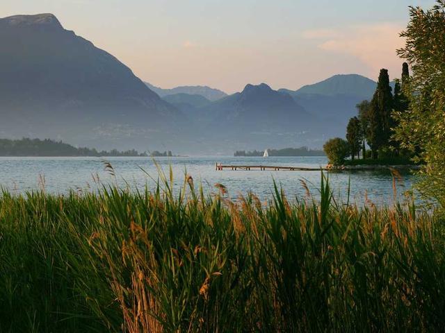 oleksandra_mikituk_uAyg