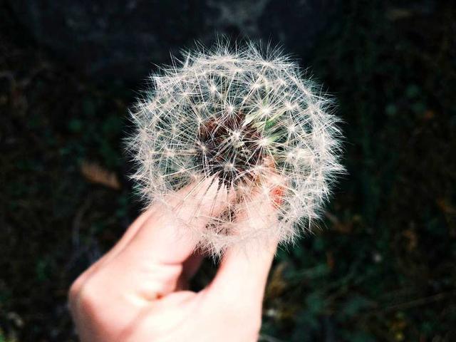 vladlen_muraveva_PcU3