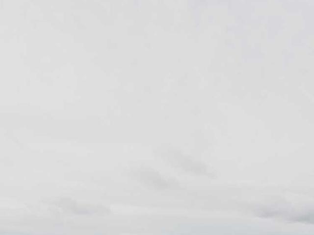 muhina_ekaterina_cJrs