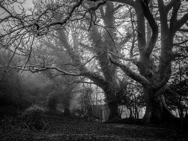 kramarcuk_larisa_9iWc