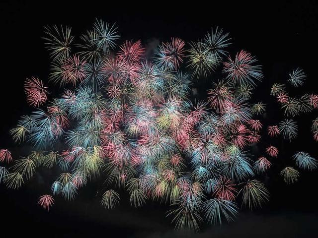 zuravleva_dominika_kCw2