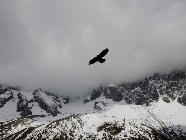 laroche_auguste_Zltk