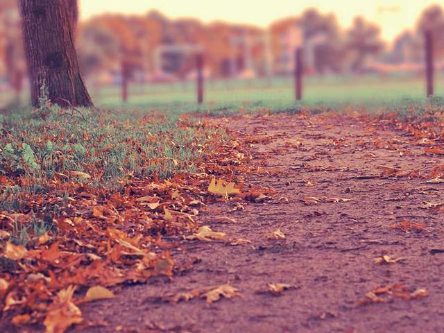 belousova_aleksandr_D3rx