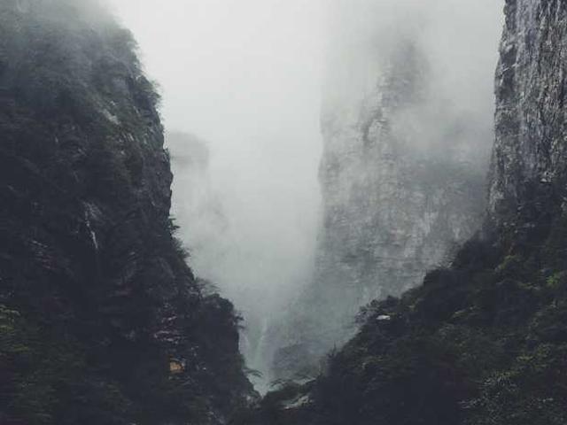 mikituk_miroslav_tWYr