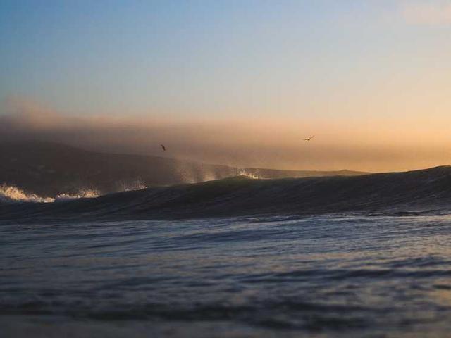 romancenko_mihajlo_mfxv