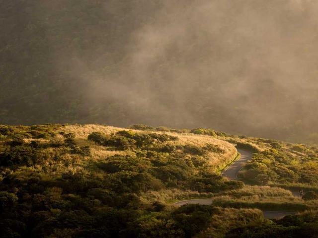 sergienko_larisa_0xkd