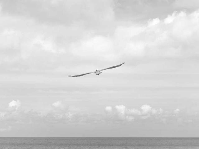 vasilev_anastasia_2cX5