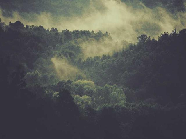 artem_belozerova_Um1m