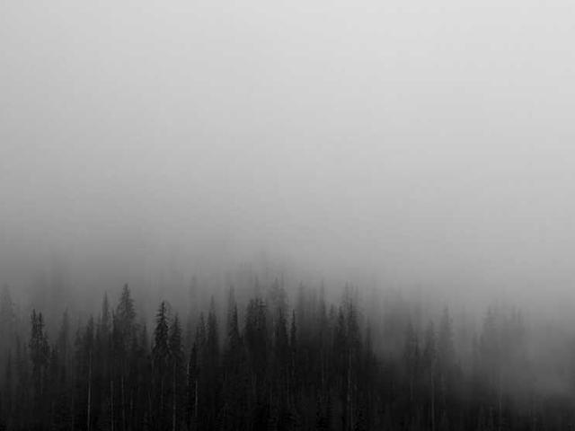 svitlana_ponomarcuk_yyxO