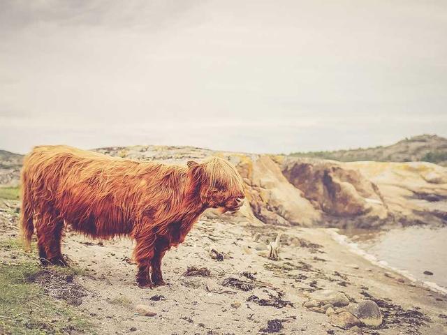 rostislav_timofeev_MOJ1