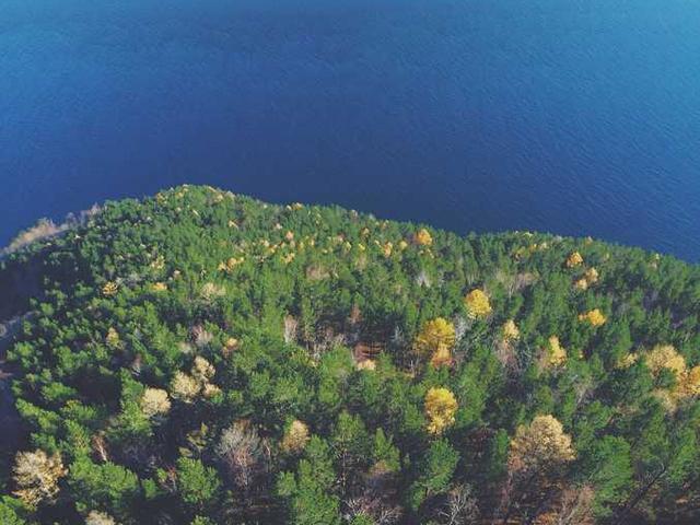 ananij_medvedev_4flJ