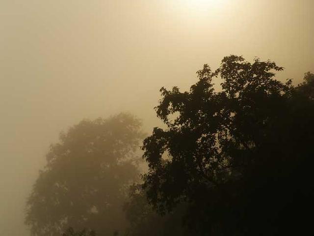 dara_ponomarcuk_2TLt