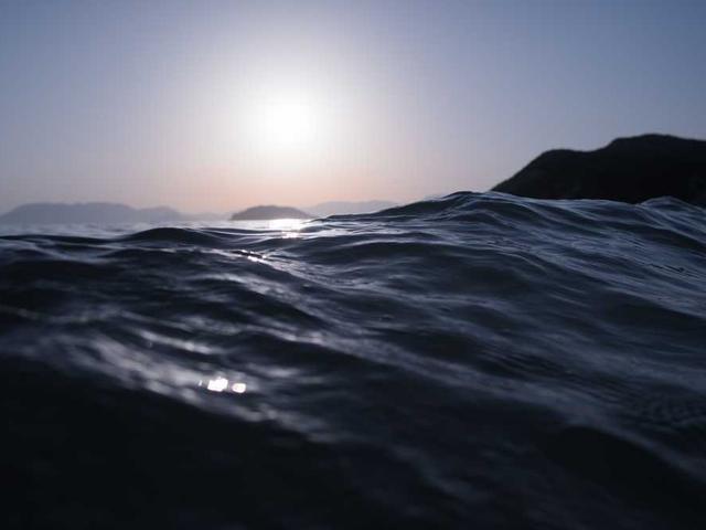 yorulmaz_sahnur_5YCF