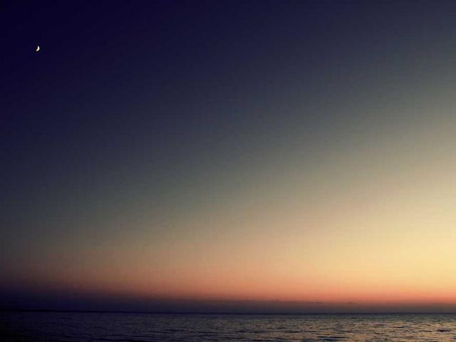 safonov_valeria_PlD6