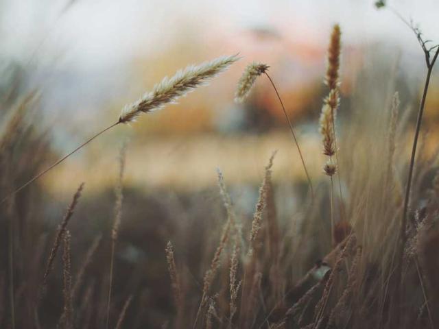 klementina_filatova_gU4Y