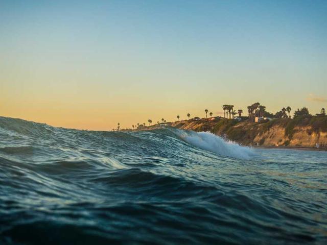 donati_pacifico_nwlq