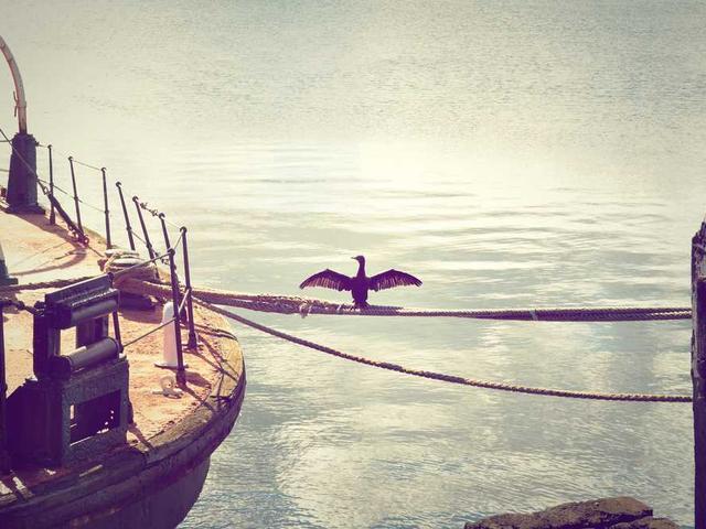 marina_mirosnicenko_4chS