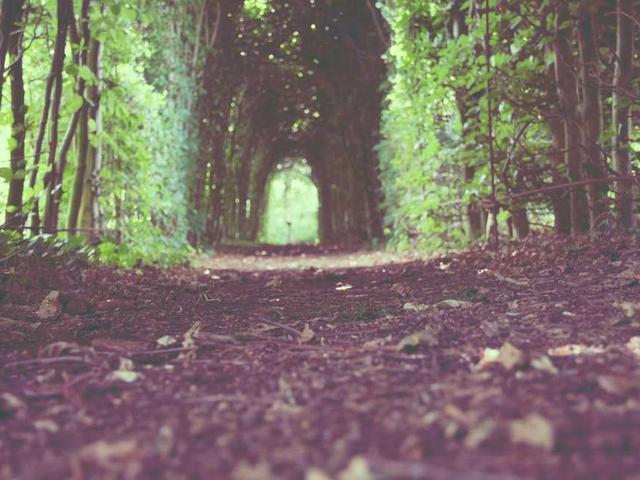 hoareau_claudine_keja