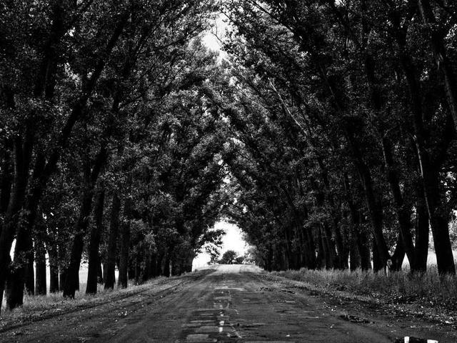 bogdan_sergienko_x9xZ