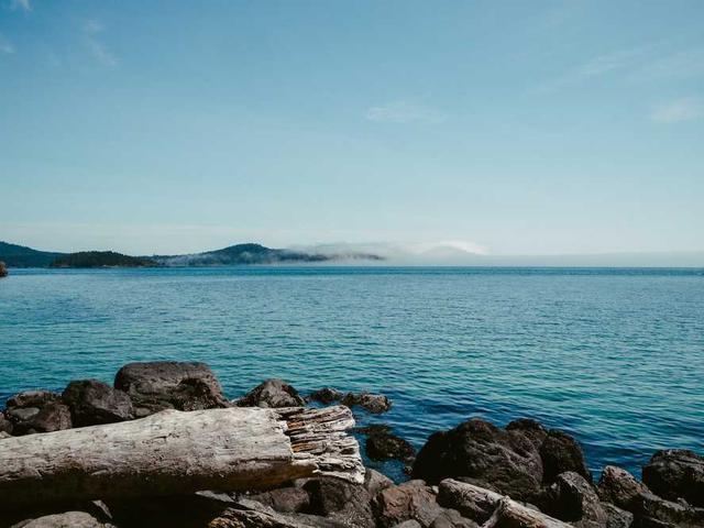 vladislav_zdanova_QGgg