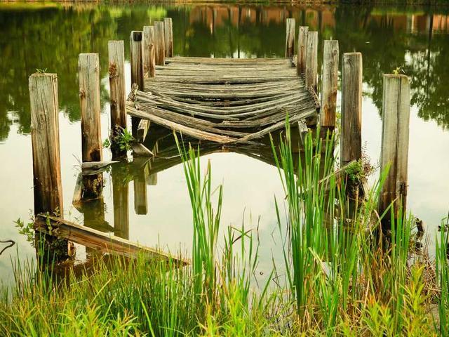 valentin_savina_osZ1