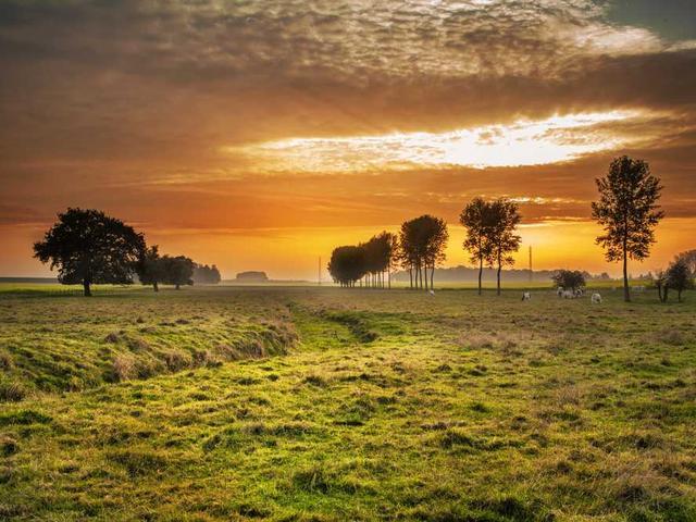 sahnur_poyrazoglu_ZGm7