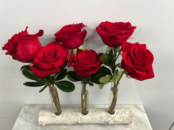 Six Roses in a Birch Log