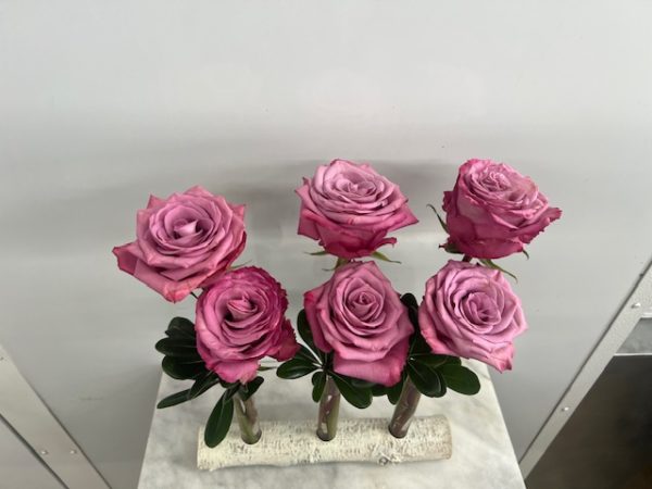 Six Roses in a Birch Log - Image 3