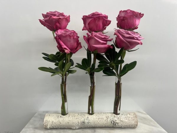 Six Roses in a Birch Log - Image 4