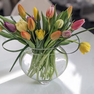 Tulips in a 'Macey'