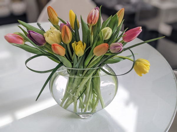Tulips in a 'Macey'